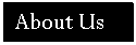 Text Box: About Us